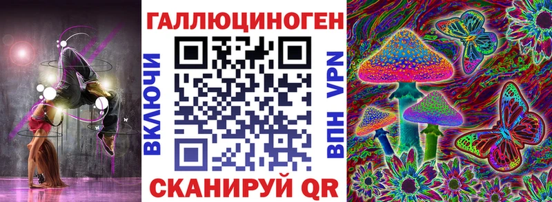 закладка  Туринск  Псилоцибиновые грибы GOLDEN TEACHER 