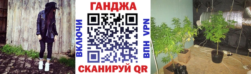 наркота  Туринск  Каннабис гибрид 